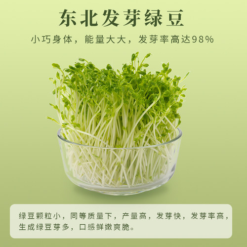 贤农嫂薄皮绿豆5斤发豆芽杂粮绿豆粥绿豆糕绿豆汤出沙糯豆类馅料 - 图2