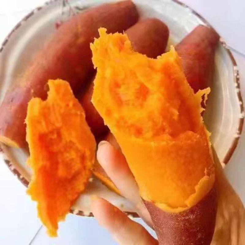 新鲜地瓜沙地番薯板栗红薯红心蜜薯粉糯自种广西山芋自提入口西瓜