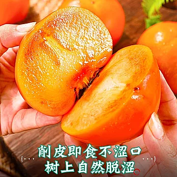 4.5斤山西阳丰巧克力脆柿子[1元优惠券]-寻折猪