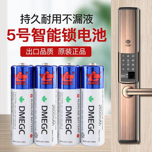 DMEGC碱性电池5号指纹锁智能门锁鱼跃电子血压计原装7号碱性电池 - 图0