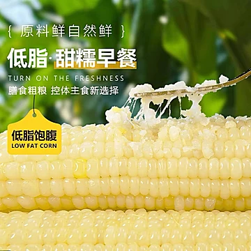 金沃瑞丰有机白糯玉米220g*8根[10元优惠券]-寻折猪