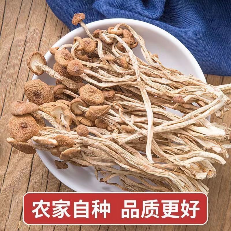 特价冲量茶树菇干货净重开伞嫩菇福建特产香菇类干新鲜 - 图1