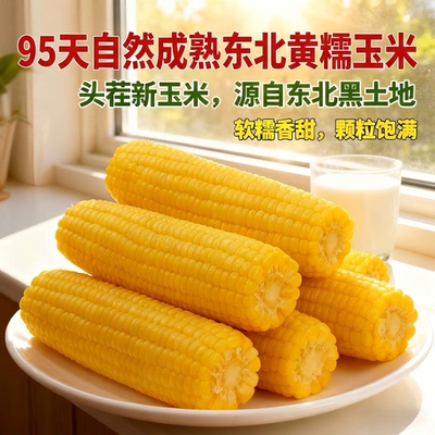 平晏铺子东北黄糯玉米10支起低脂甜糯粗粮新鲜拉丝粘苞米甜玉米