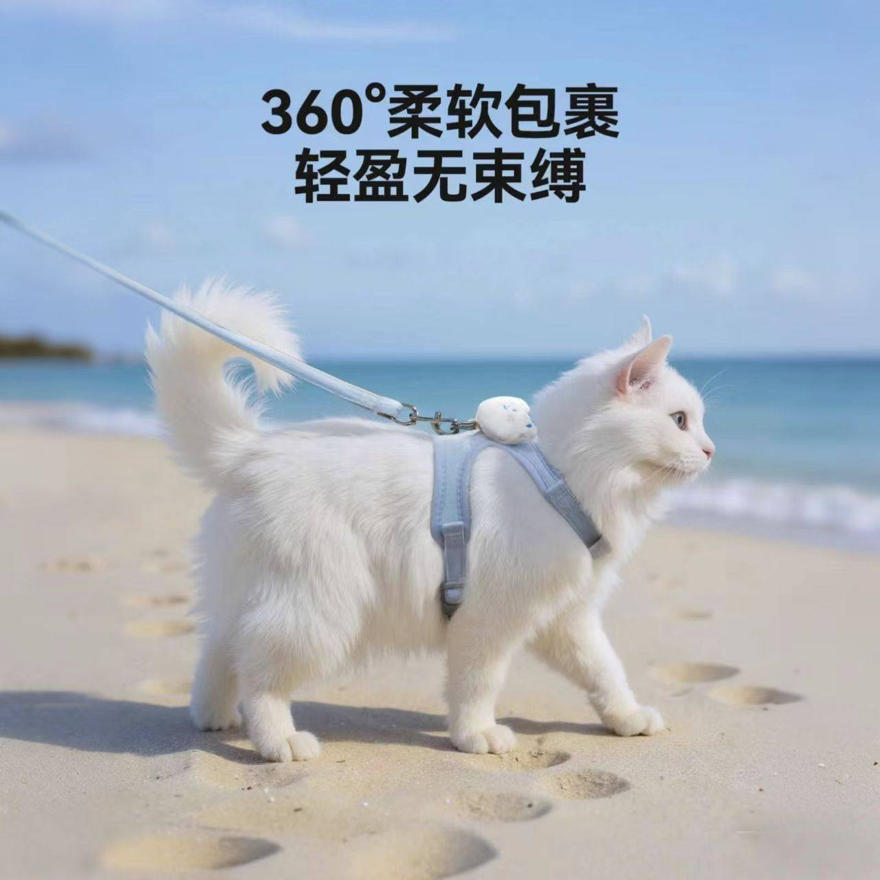 è��ǣ�������������ר��è����è�����ر������Ӳ��ղ��ɵ��� �ػݳ��������50�� ��ɫС��ǣ���� S-����2-6�����������Χ����Ϊ׼�� 5.88Ԫ