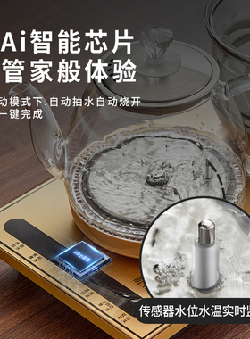 全自动底部上水电热水壶
