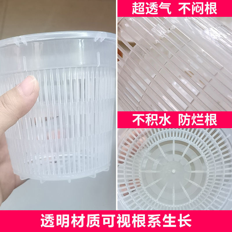 控根盆兰花专用盆透气透光控水防烂蝴蝶兰地面盆绿植盆桌面花卉盆 - 图1