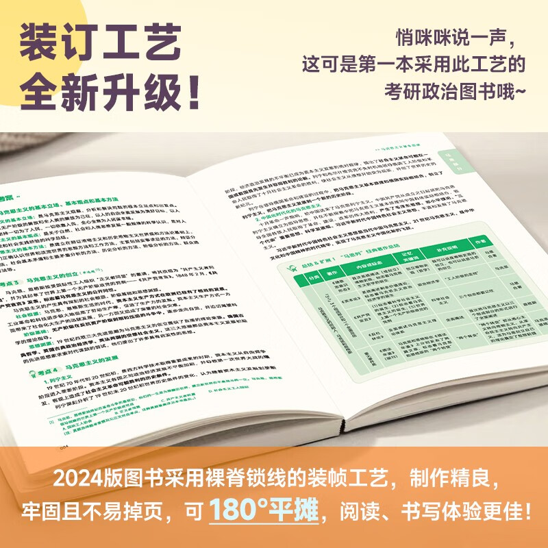 官方现货】2025徐涛核心考案考研政治小黄书101思想政治理论教材核心教案优题库2024黄皮书肖秀荣1000题肖四肖八腿姐冲刺背诵手册 - 图1