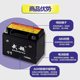Chaowei motorcycle battery 12v125 universal