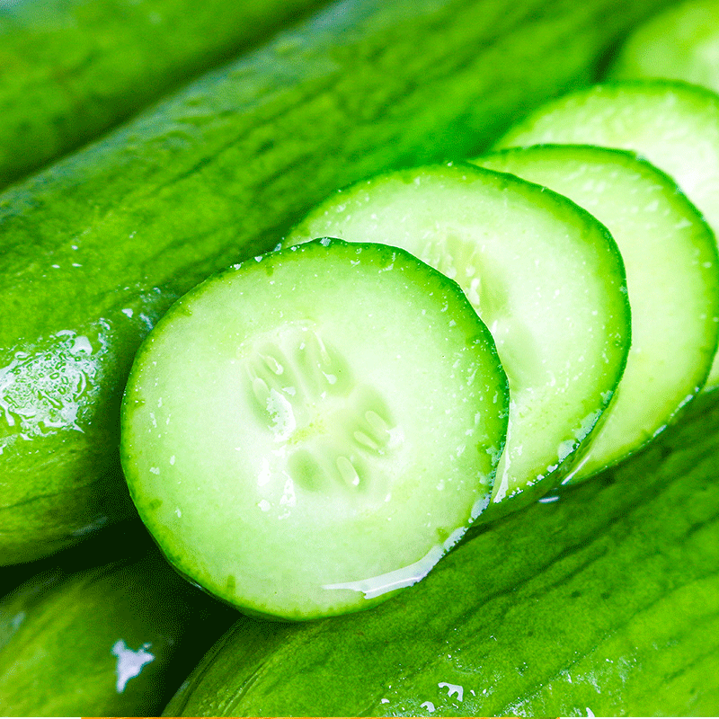 水果黄瓜生吃脆新鲜5斤青瓜荷兰当季无刺小黄瓜蔬菜包邮山东即食 - 图2