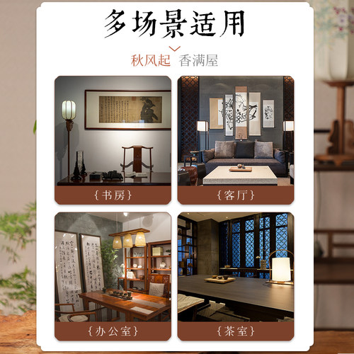 水培七彩石斛兰米竹苔藓球带花姬月季盆栽懒人好养绿植室内花卉 - 图3