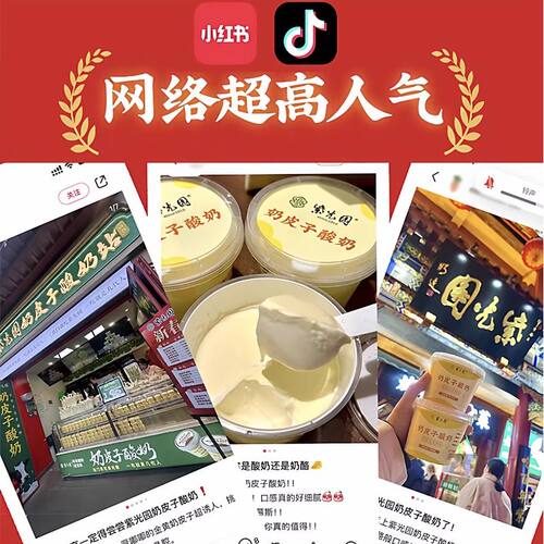 新鲜老北京紫光园奶皮子酸奶老式原味茉莉抹茶酸奶旗舰店顺丰冷运 - 图0