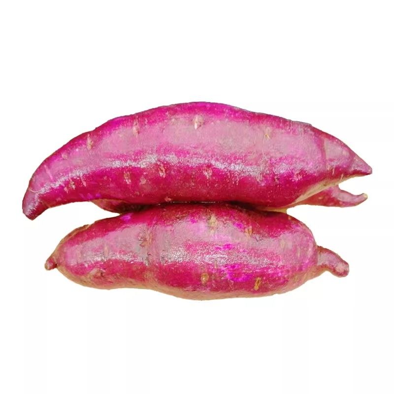 沙地新鲜紫薯现挖农家自种蜜薯紫心番薯蔬菜一整箱批发价软糯香甜,淘宝优惠券,粉丝福利购,淘宝优惠卷
