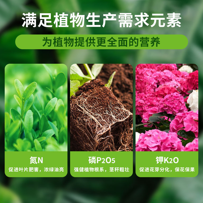 营养土养花通用专用种菜土壤种植土绿植物多肉家用盆栽种花土发酵 - 图2