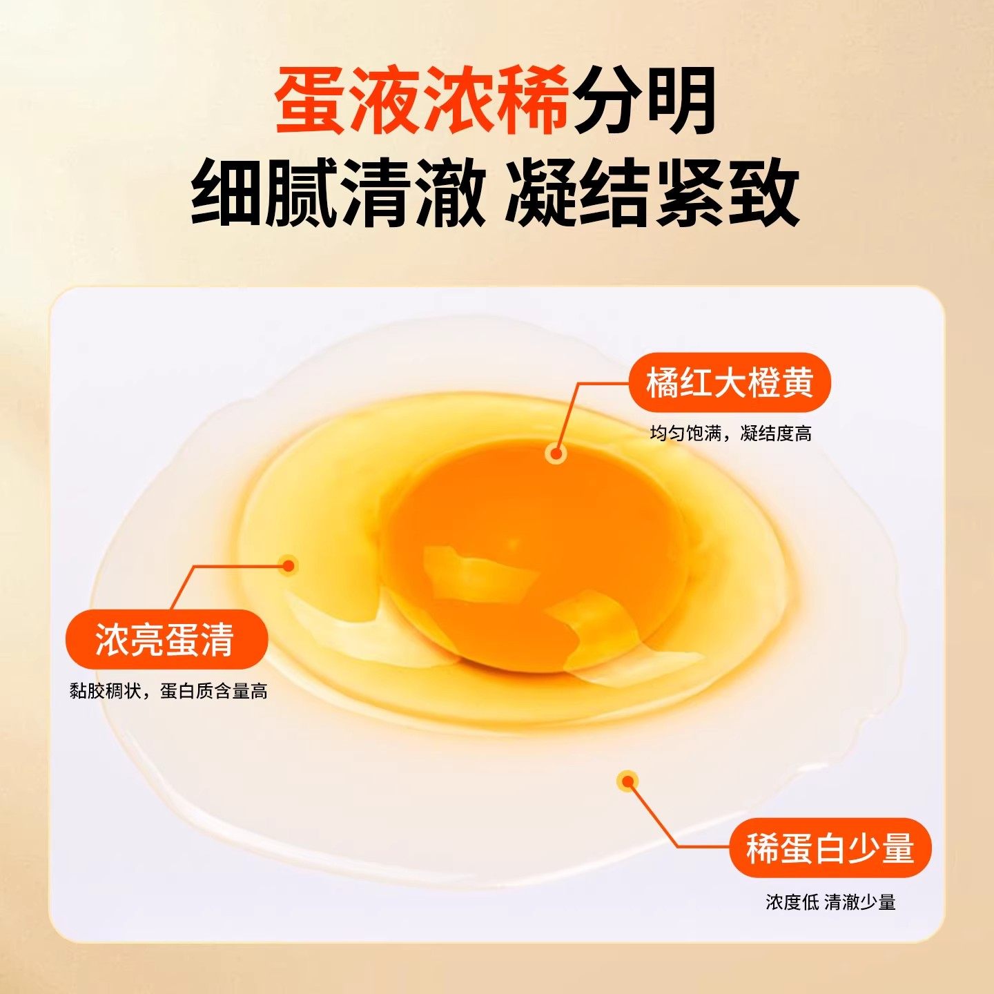 正宗农家散养土鸡蛋大码生鲜鸡蛋50g谷物喂养现捡现发新鲜柴鸡蛋,淘宝优惠券,粉丝福利购,淘宝优惠卷