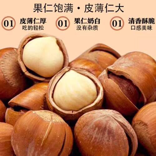 2025年东北山榛子坚果铁岭特产大号榛子炒货原味新鲜干果袋装罐装 - 图0