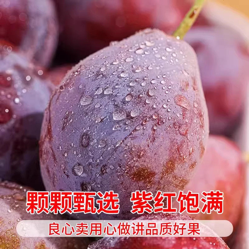 礼盒装澳洲进口西梅4斤大果新鲜当季水果甜蜜李子孕妇黑布林整箱,淘宝优惠券,粉丝福利购,淘宝优惠卷