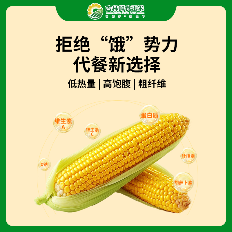 正宗东北黄糯玉米软糯香甜粘苞米真空装粗粮