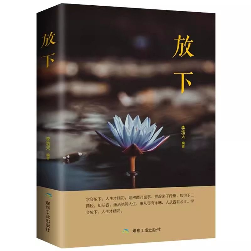 【抖音同款】静心和放下书正版人生没什么放不下智慧哲学战胜焦虑心理学青春成功励志心灵鸡汤正能量修心修身养性书籍畅销书排行榜 - 图3