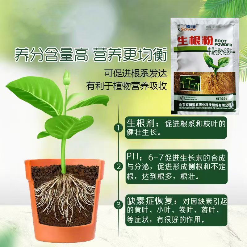 快速生根粉扦插育苗植物通用生奶快生根剂液树果树移栽发根粉烂根 - 图1