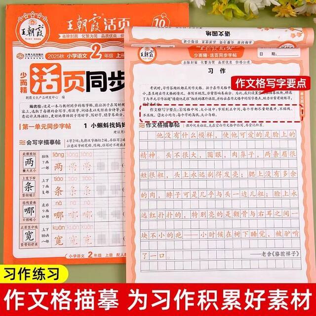 Wang Chaoxia synchronized copybook loose-leaf copybook practice copybook