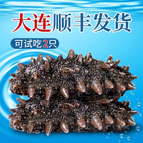 海参即食包装袋一斤正品官方旗舰店大连顺丰独立辽刺参冷冻水产 - 图0