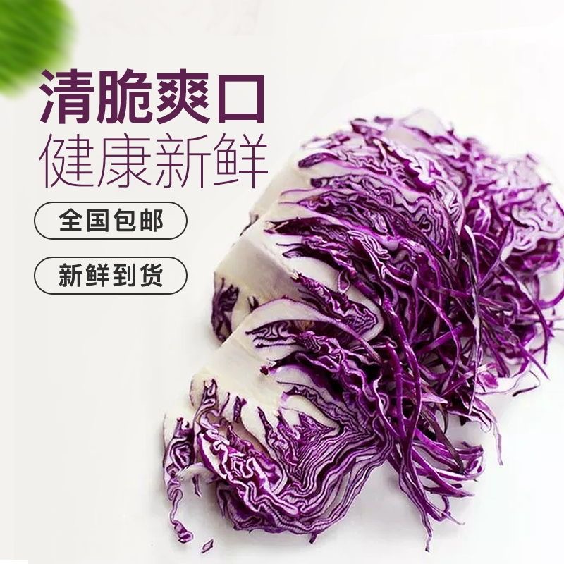 云南紫甘蓝新鲜紫包菜蔬菜凉拌沙拉卷心菜紫菜包邮新鲜蔬菜10斤-图1