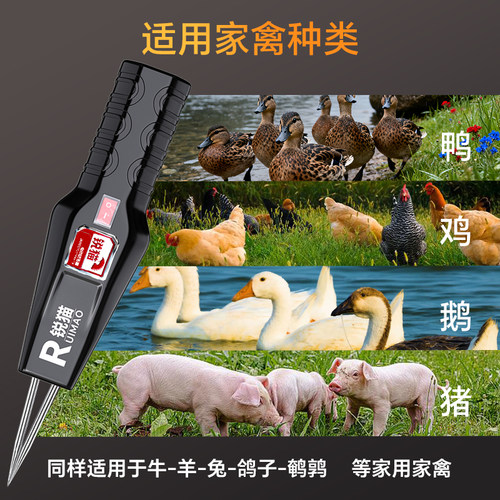 德国拔毛神器鸡毛鸭毛电动鸡鸭鹅猪家禽脱毛机拔毛器拔的神器鸭子 - 图1