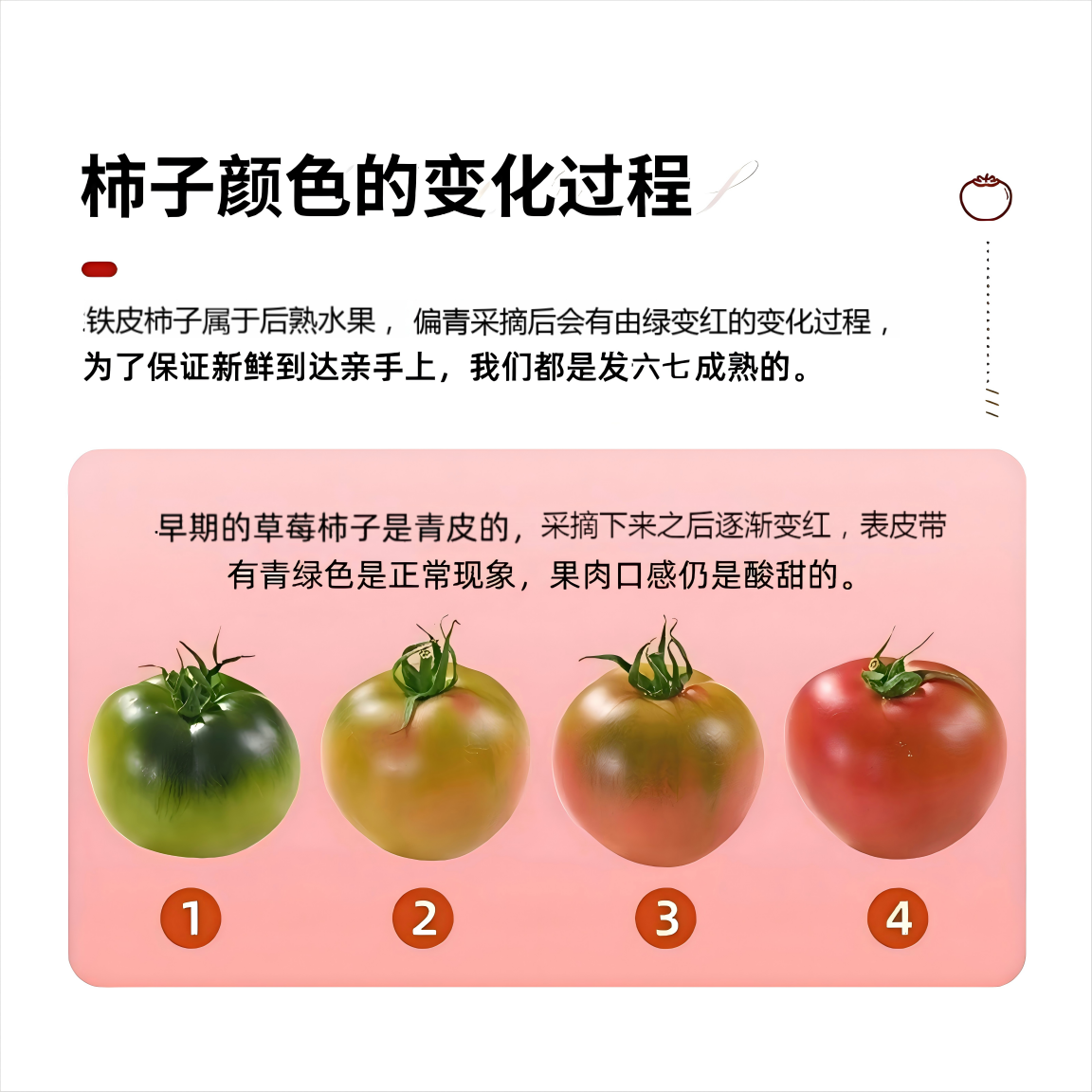 顺丰包邮东北碱地草莓番茄铁皮西红柿正宗碱地柿子生吃应季水果,淘宝优惠券,粉丝福利购,淘宝优惠卷