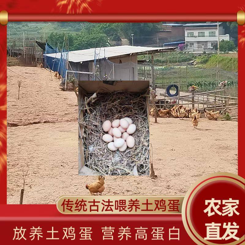 每日鲜鸡蛋现捡现发10枚30枚整箱包邮土鸡蛋农家无添加新鸡蛋,淘宝优惠券,粉丝福利购,淘宝优惠卷