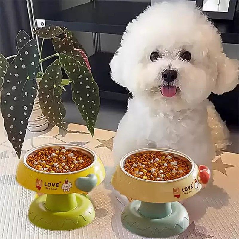 高颜值多巴胺狗盆狗碗宠物猫咪饭碗水碗不锈钢盆防滑保护颈椎猫碗,淘宝优惠券,粉丝福利购,淘宝优惠卷