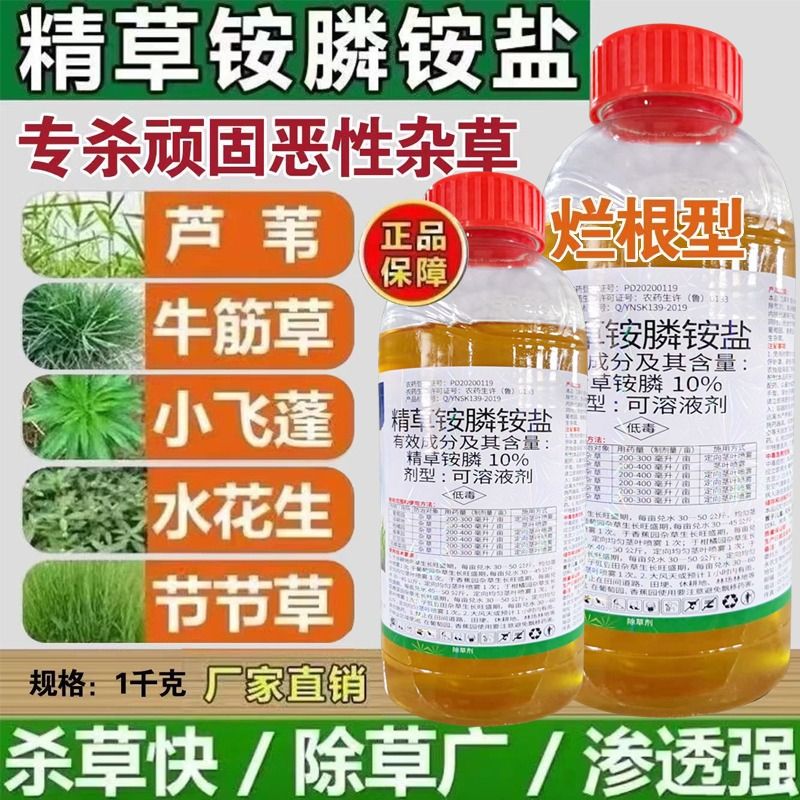 精草铵膦铵盐杀恶性杂草小飞蓬牛筋草果园茶园除草剂烂根剂一扫光 - 图1