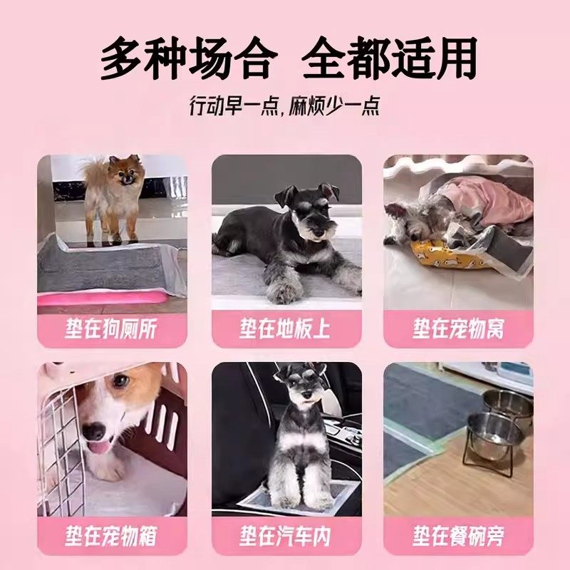 狗狗尿垫尿片200片宠物用品厕所除臭一次性尿布吸水垫加厚尿不湿,淘宝优惠券,粉丝福利购,淘宝优惠卷
