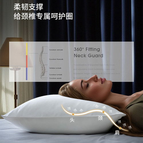 奢世希尔顿酒店羽绒枕头枕芯95白鹅绒护颈椎助睡眠A类纯棉成人枕 - 图0