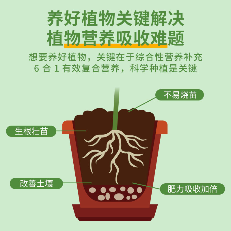 发财树营养液专用肥花肥料盆栽植物金钱树土水培通用种植养花土壤-图2