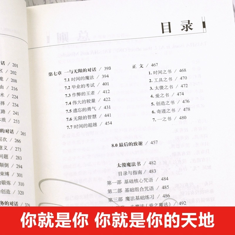 太傻天书 一种太傻的思想锻炼方法 找自己认识自己 无关社会世界哲学灵性 励志正能量或者宗教这本书只关于你成功励志人生哲学书籍 - 图1