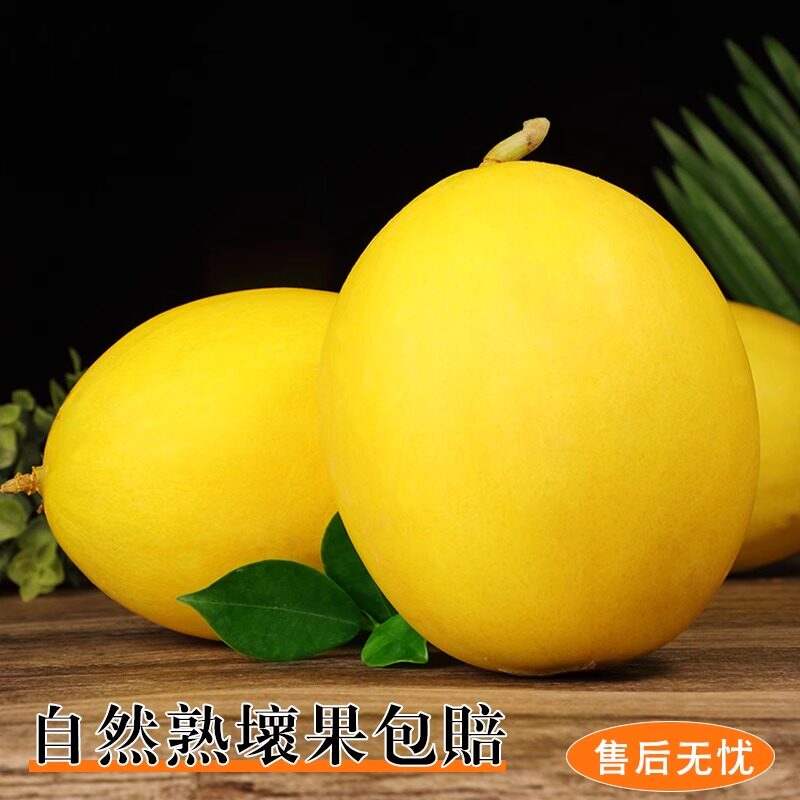 正宗黄河蜜瓜甜瓜新鲜水果当季整箱沙漠黄金脆香瓜哈密瓜勤民蜜瓜
