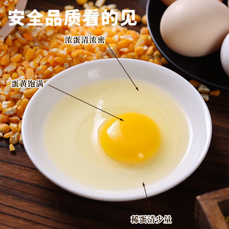 正宗农家散养土鸡蛋新鲜柴鸡蛋草鸡蛋谷物鸡蛋一整箱