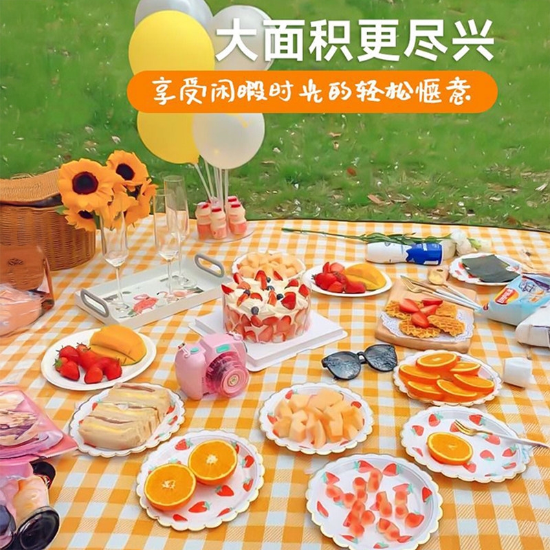 野餐垫防潮垫加厚可折叠收纳户外野炊野营沙滩帐篷地垫草坪垫子