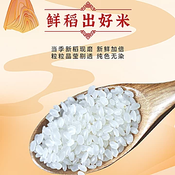 【稻天祥】品质五常大米10斤[7元优惠券]-寻折猪