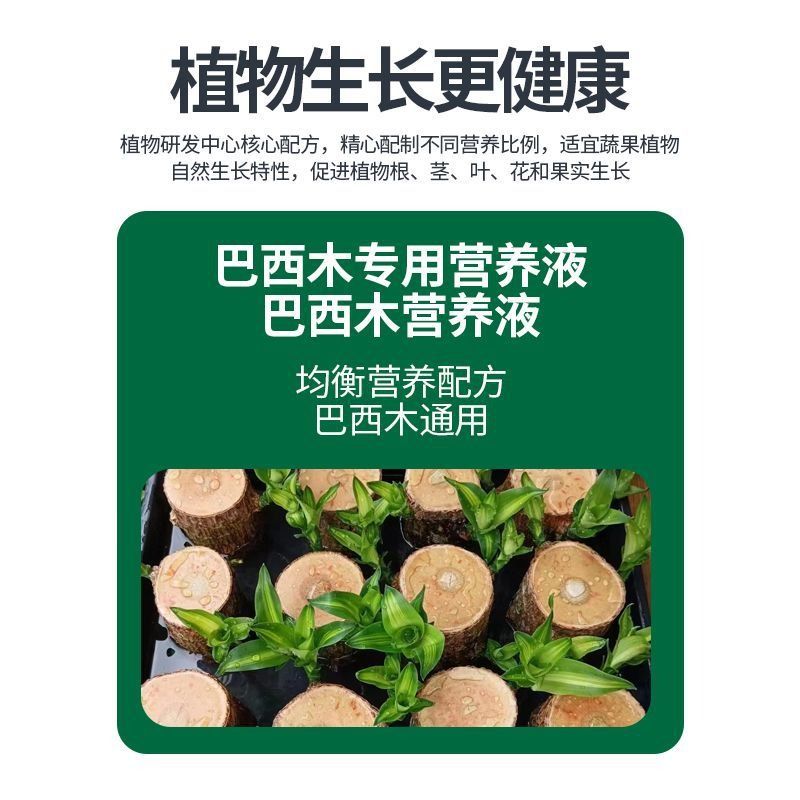 巴西木专用型营养液养花肥料盆栽通用幸运木水培植物家用氮磷钾-图2