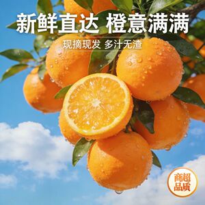 湖北宜昌秭归伦晚脐橙9斤大果新鲜现摘橙子当季春橙纽荷尔姊源头