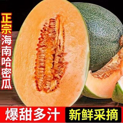 海南哈密瓜吐鲁番西州蜜新鲜一箱应当季孕妇水果甜瓜整箱全国包邮