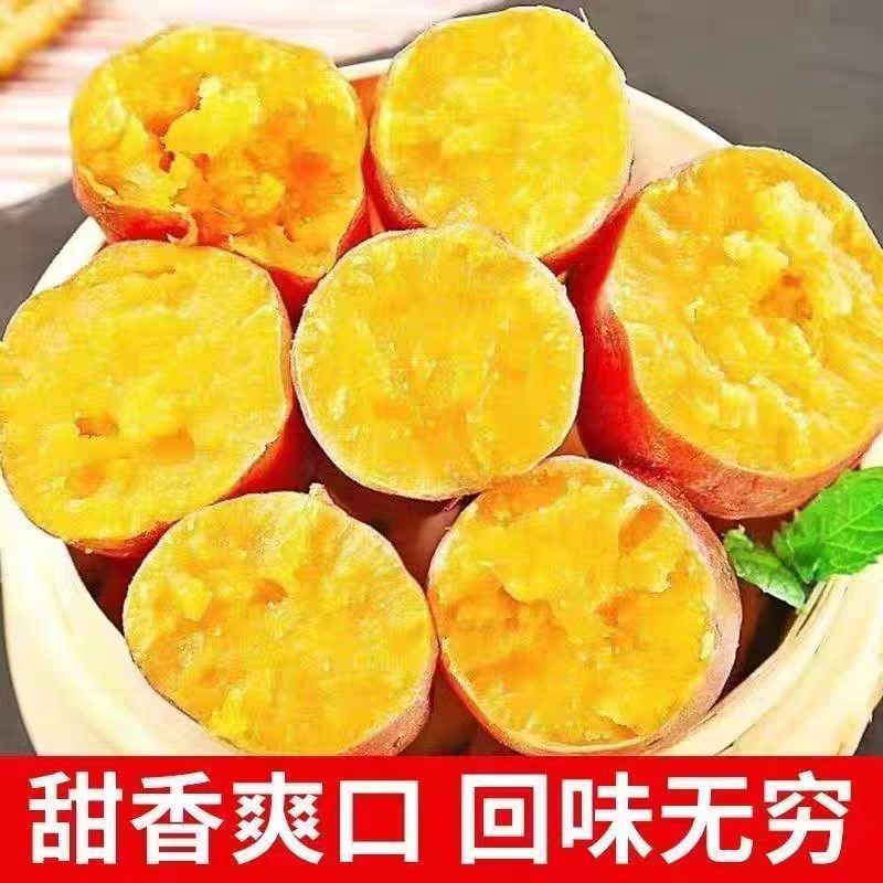 蜜薯糖心红薯新鲜番薯发烤红薯地瓜西瓜红烟薯产地直发红心沙地