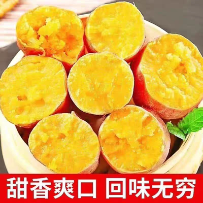 蜜薯糖心红薯新鲜番薯发烤红薯地瓜西瓜红烟薯产地直发红心沙地