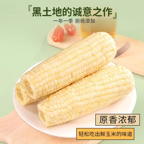 东北白糯玉米香甜拉丝粗粮独立包装甜糯玉米白玉米新鲜香糯外出 - 图0