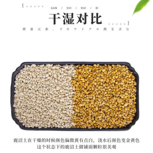 进口颗粒土二本线赤玉土桐生砂植金石鹿沼土轻石铺面拌土营养土 - 图0