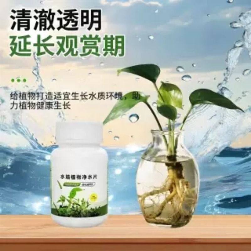 水培植物净水片鲜花花卉保鲜剂不臭水碗莲专用杀菌消毒片净化水质,淘宝优惠券,粉丝福利购,淘宝优惠卷