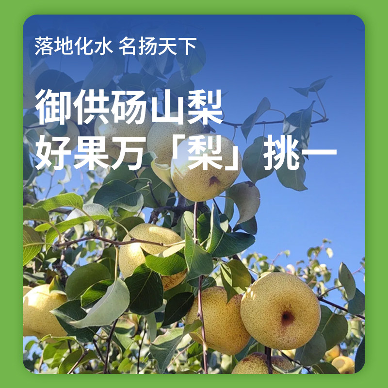 HEESSU赫塑纯梨膏100g/盒10袋四季独立包装无添加冲饮不腻小包装