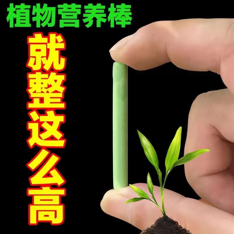 植物缓释棒营养棒花肥料养花多肉绿植盆栽缓释片肥氮磷钾土壤家用-图0