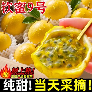 【平晏果园】正宗钦蜜9号黄金百香果 3斤